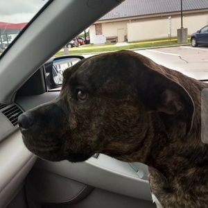 Meet your Posher, Marybeth